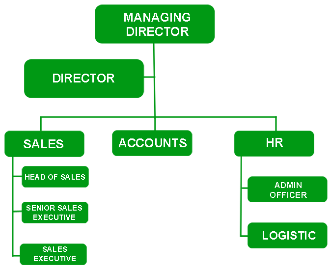 Our Organizational Structure